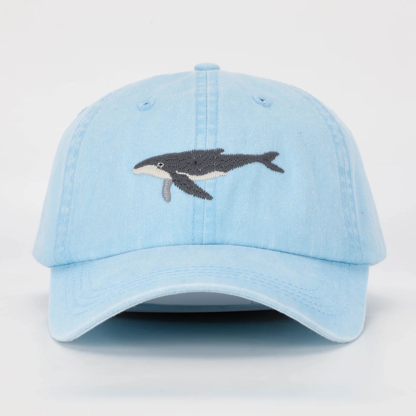 Humpback Whale