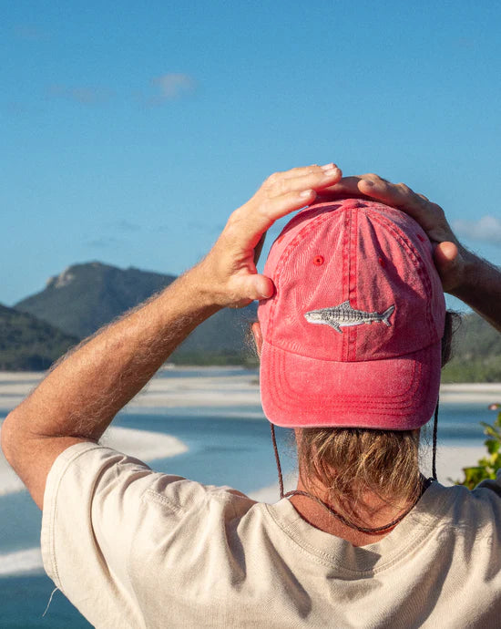 The Tiger Shark, on a retro faded red, has joined our Conservation Range. Made from the familiar soft washed cotton you already love, this exclusive embroidered design embodies the spirit of this iconic marine predator.