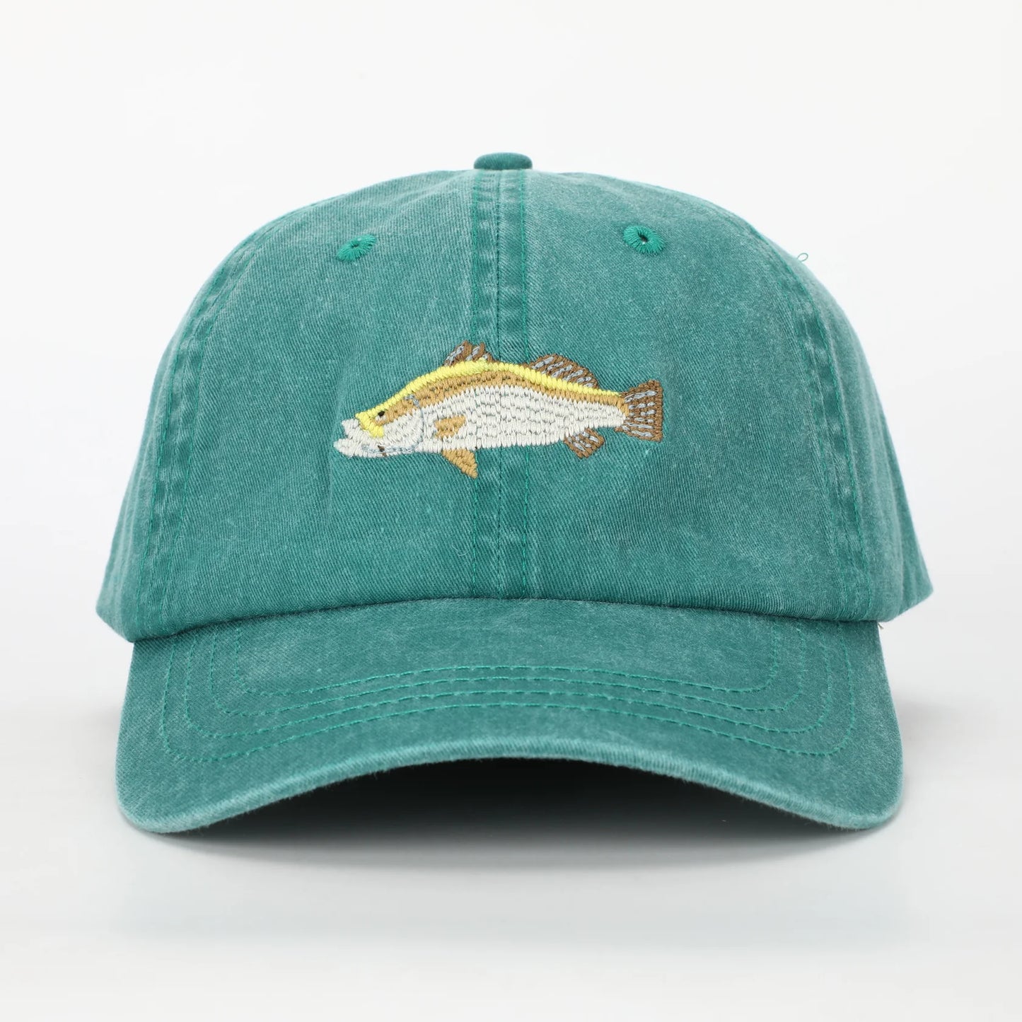Barramundi