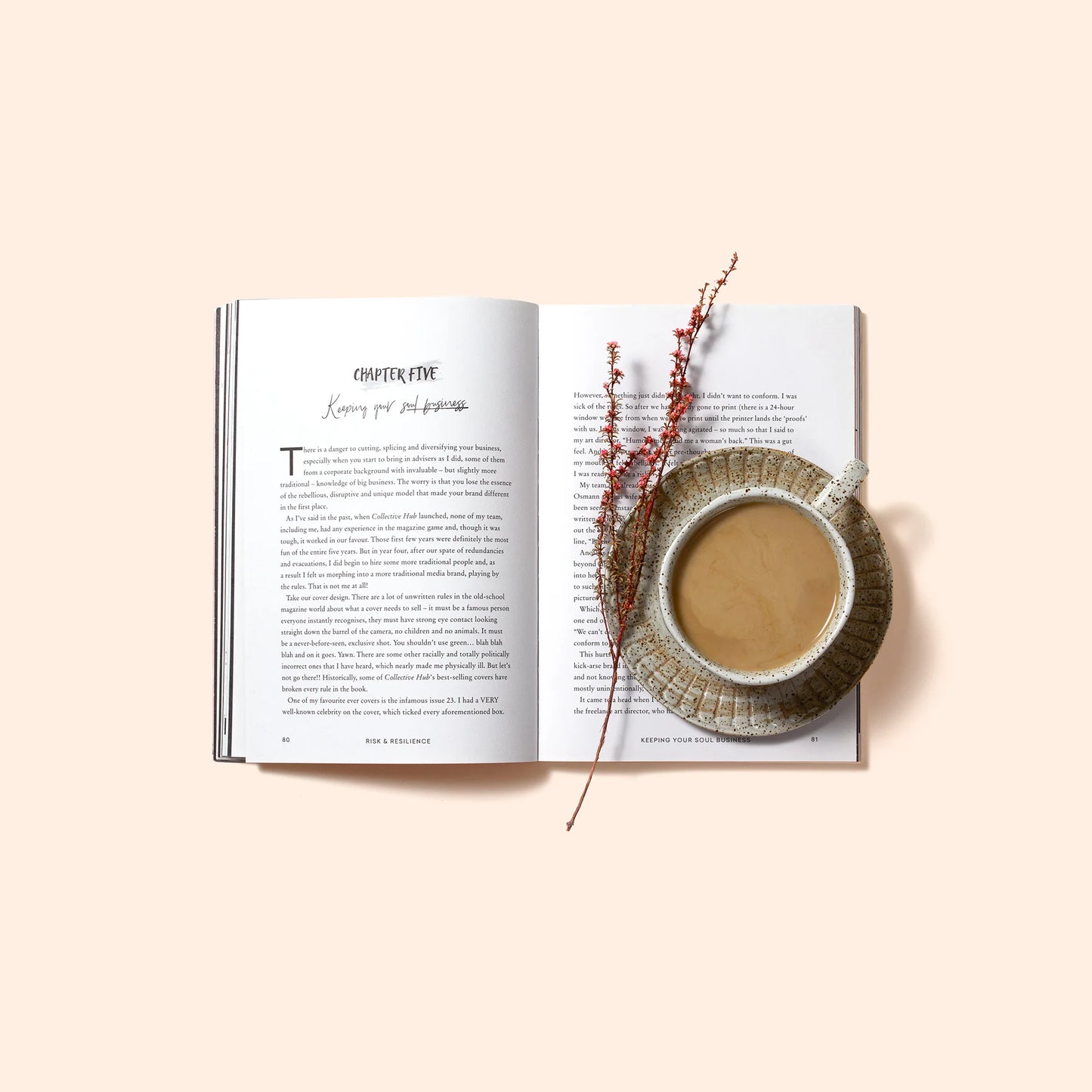 In the latest book in her series, Lisa reveals the tough lessons she’s learnt during the hardest 18 months of her entrepreneurial journey, when scaling too quickly, hiring without strategy and trying to please everyone almost turned her dream into disaster. The courageous steps she took to survive, thrive and prosper afterwards.