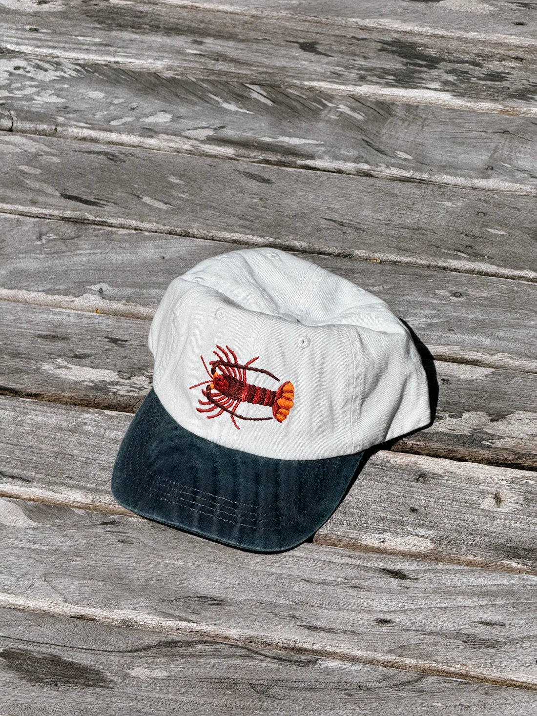 Southern Rock Lobster