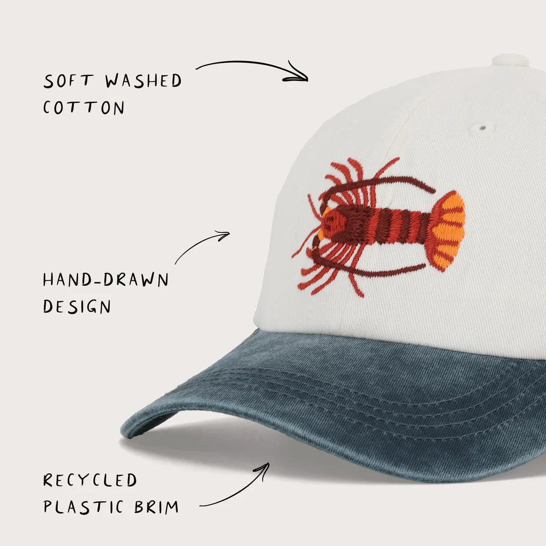 Southern Rock Lobster